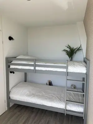 two bunk beds in a room with a plant at Burgervlotbrug aan zee met sauna in Burgerbrug