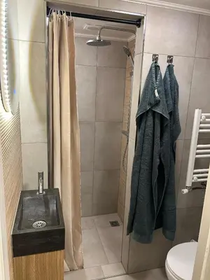 a bathroom with a shower with a sink and a toilet at Westerhuysje in Uitgeest