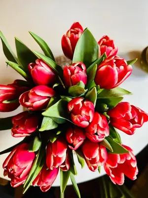 a bouquet of red tulips in a vase at Souterrain Sandy Sous in Noordwijk