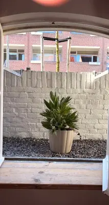 a potted plant sitting in front of a stone wall at Souterrain Sandy Sous in Noordwijk