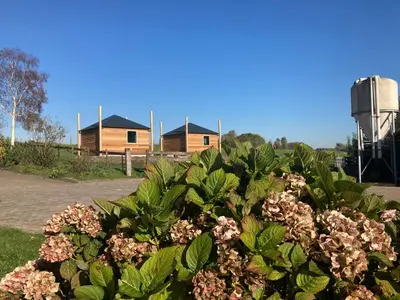a bush of flowers in front of a water silo at Hooiberghut op boerderij in Leidschendam