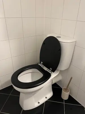 a bathroom with a white toilet with a black seat at A few steps away apartment in Zandvoort