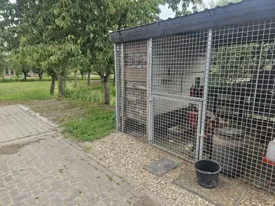 a cage with a bear inside of it at De Gouwe Hooiberg in Hoogwoud