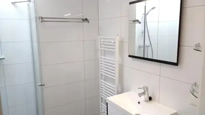 a bathroom with a shower and a sink and a mirror at Bright room with kitchen in Amsterdam