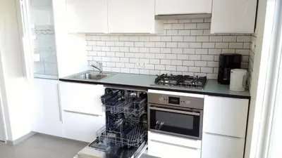 a kitchen with a stove and a sink at Bright room with kitchen in Amsterdam