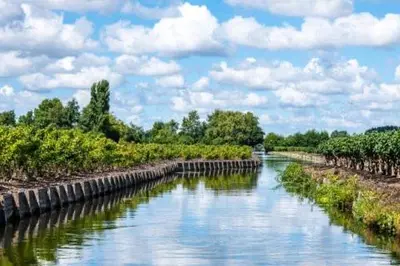 a river with trees and clouds in the sky at Westeindercabin, rustige locatie maar naast Amsterdam & Schiphol in Aalsmeer
