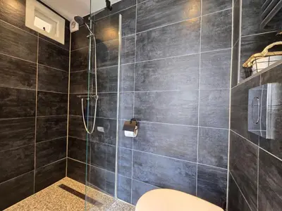 a bathroom with a shower and a toilet at Beach 44 in Egmond aan Zee