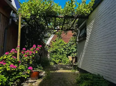 a small alley with pink flowers and a building at Onder de Kastanje! in Koedijk