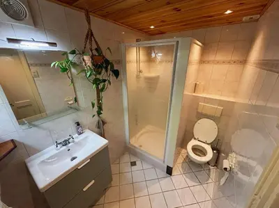 a bathroom with a shower and a toilet and a sink at Onder de Kastanje! in Koedijk