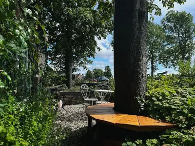 a wooden bench sitting next to a tree at Onder de Kastanje! in Koedijk