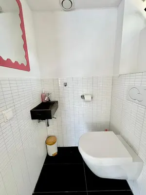 a bathroom with a white toilet and a sink at Houseboat PURE II in Vreeland