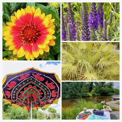 a collage of pictures of flowers and an umbrella at Stunning Island Home with African Asian Vibe in Oude Meer