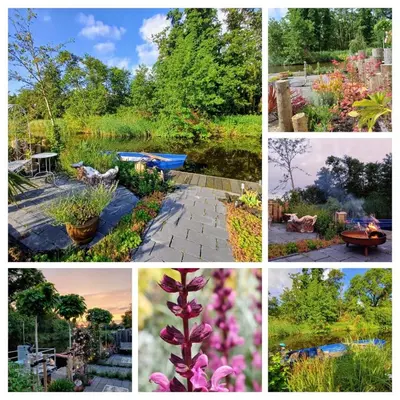 a collage of photos of a garden at Stunning Island Home with African Asian Vibe in Oude Meer