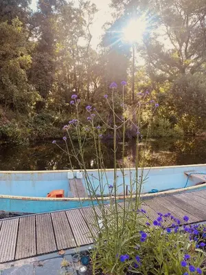 a garden with purple flowers next to a swimming pool at Stunning Island Home with African Asian Vibe in Oude Meer