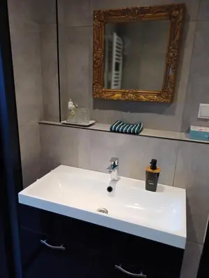 a bathroom with a white sink and a mirror at Boerderij Appartement Jachtlust in Voorhout