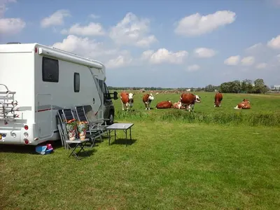 a white trailer parked in a field with cows at Boerderij Appartement Jachtlust in Voorhout