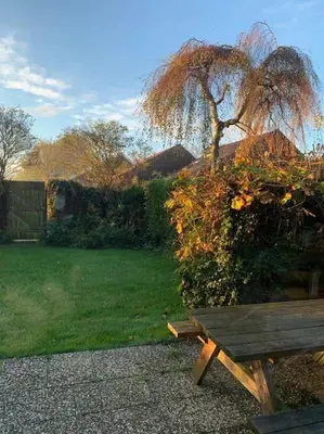 a wooden bench in a garden with a tree at Rekerlanden 6 in Warmenhuizen