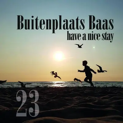 a man is running on the beach with birds at Have a nice stay! - Vakantiehuis Buitenplaats in Noordwijkerhout