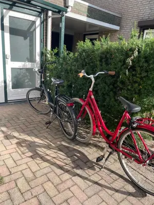 two bikes parked in front of a house at The Duck of Amsterdam in Amsterdam