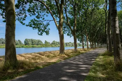 a road lined with trees next to a lake at The Duck of Amsterdam in Amsterdam