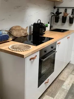 a kitchen with a cat sitting on a counter at Appartement 't Zomerhuis in Zandvoort