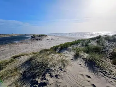 a beach with sand and grass and the ocean at Relax Cozy Dirkshorn Stay in Dirkshorn