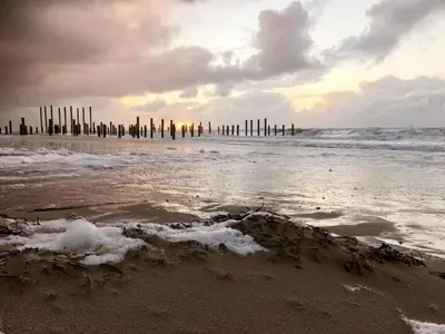 a beach with a group of poles in the water at Relax Cozy Dirkshorn Stay in Dirkshorn