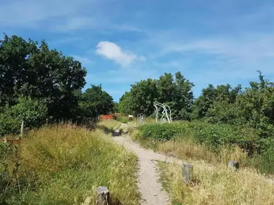 a dirt path through a field with trees at Relax Cozy Dirkshorn Stay in Dirkshorn
