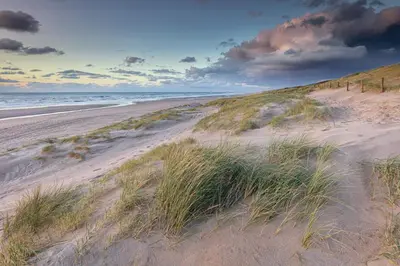 a beach with sand dunes and grass on it at DUINUNDER In de duinen, loopafstand naar 't strand in Noordwijk aan Zee