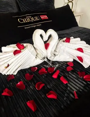 two swans making a heart on a bed with red hearts at DE WEELEN met Jacuzzi en of Zwembad Topkeuze Romantiek in Lutjebroek