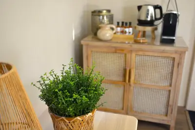 a potted plant sitting on a table next to a cabinet at Bed & Breakfast Puur Natuur Putten, met privé sauna in Putten