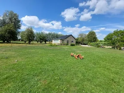 a group of three dogs in a grass field at Luxe vrijstaand gastenverblijf - landelijk gelegen in IJsselstein