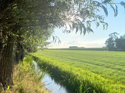 a field with a tree next to a river at Luxe vrijstaand gastenverblijf - landelijk gelegen in IJsselstein