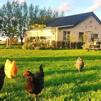 Luxe vrijstaand gastenverblijf - landelijk gelegen