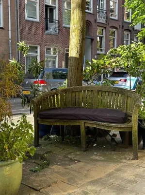 a bench with a pillow sitting next to a tree at De Stijlkamer in Amsterdam