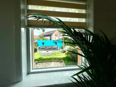 a window with a potted plant next to a couch at Modern Appartment Free Parking in Zandvoort