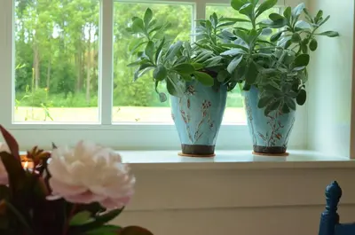 two vases sitting on a window sill with plants at B&B Louisehoeve in Linschoten