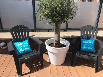 two chairs and a potted tree on a balcony at Apartments Four Seasons Zuiderstraat in Egmond aan Zee