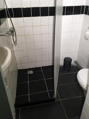 a small bathroom with a toilet and a sink at Paul en Lettie's Bed and Breakfast in Westbroek