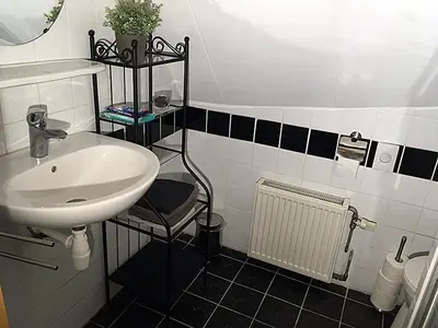 a bathroom with a sink and a toilet and a mirror at Paul en Lettie's Bed and Breakfast in Westbroek