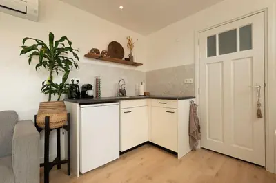 a kitchen with white cabinets and a potted plant at Faya Beachhouse in Noordwijk aan Zee