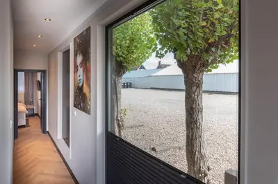 a view of a tree from the hallway of a house at Luxury Watervilla Near Amsterdam And Schiphol in Aalsmeer