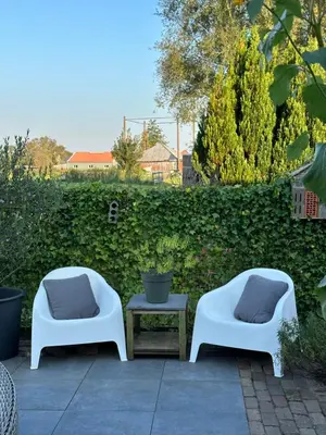 two white chairs with pillows sitting next to a table at 't Jisper Huisje in Jisp