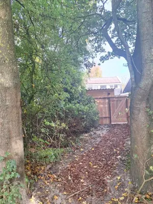 a dirt road with trees and a fence at Rekerlanden 46 in Warmenhuizen