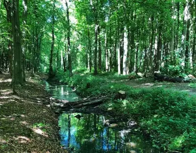 Gallery image of De Witte Reiger in Markenbinnen