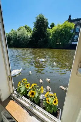 a window with a view of a pond with ducks and swans at Peaceful room on a houseboat in the city centre in Amsterdam