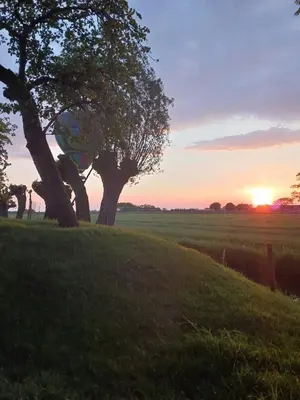 two trees in a field with the sunset in the background at BB-4u in IJsselstein