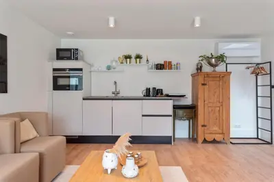 a living room with a kitchen and a table with cats on it at Studio Campo in Bentveld