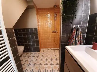 a bathroom with a shower and a sink at Appartement Voorhuis en chalet Klein Waterland in Amsterdam