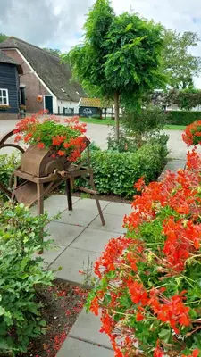 a flower garden with red flowers and a bench at Chalet 4, Recreatie aan de Vecht in Weesp